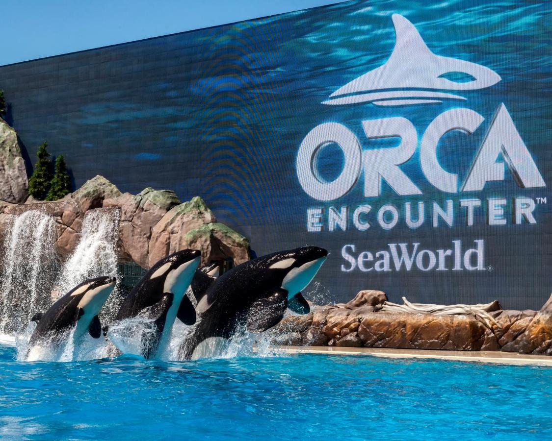 Travelodge By Wyndham San Diego Seaworld Zewnętrze zdjęcie